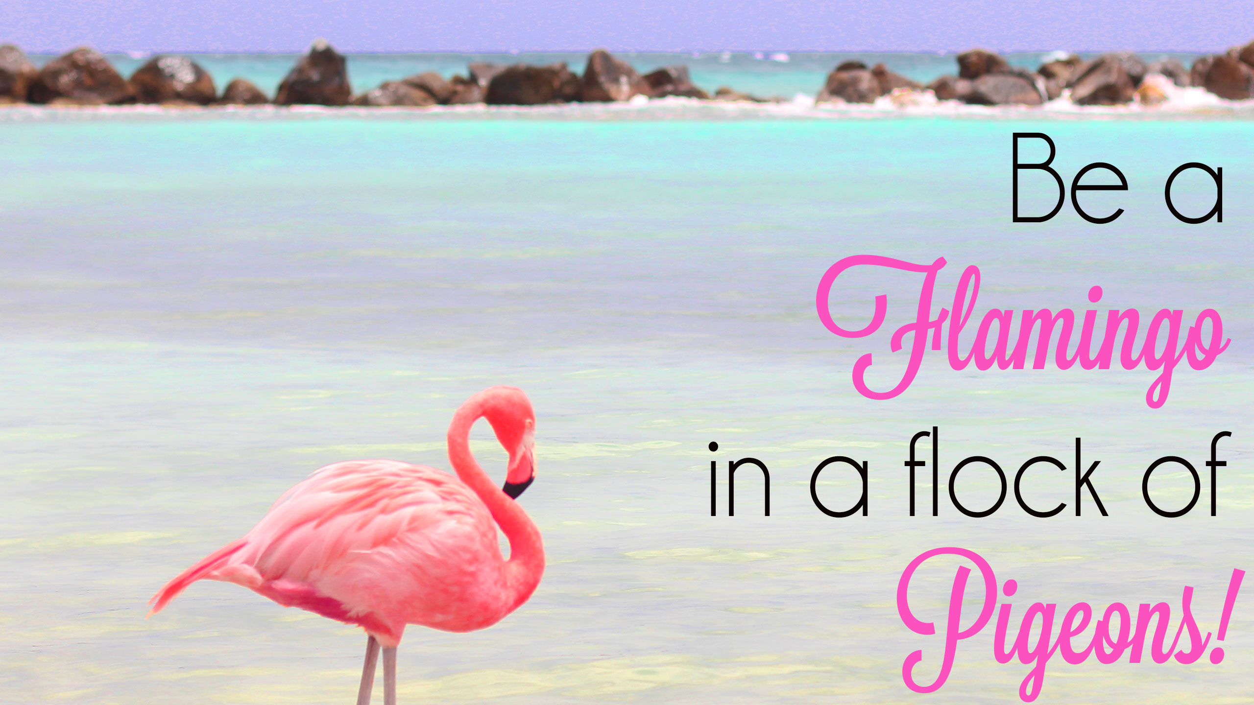 Be a Flamingo in a F