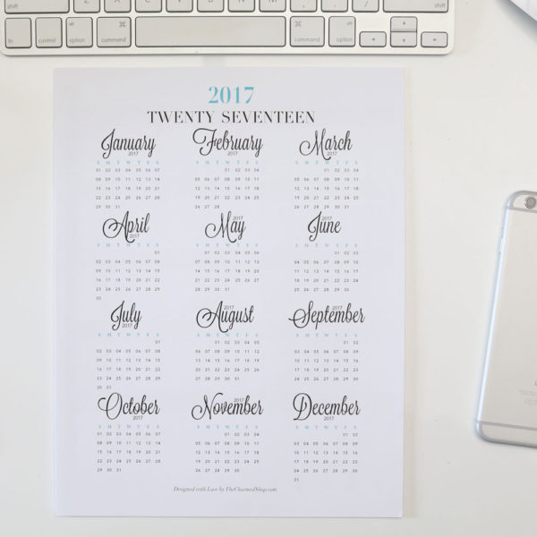 2017 Printable Year at a Glance Calendar
