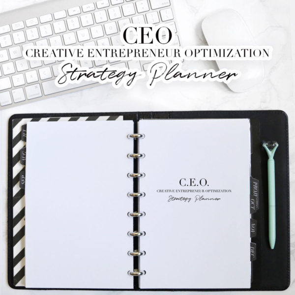 CEO Strategy Planner