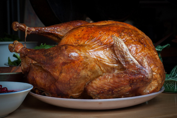 Thanksgiving Turkey Tim Sackton