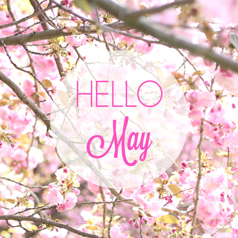 Image result for Hello May