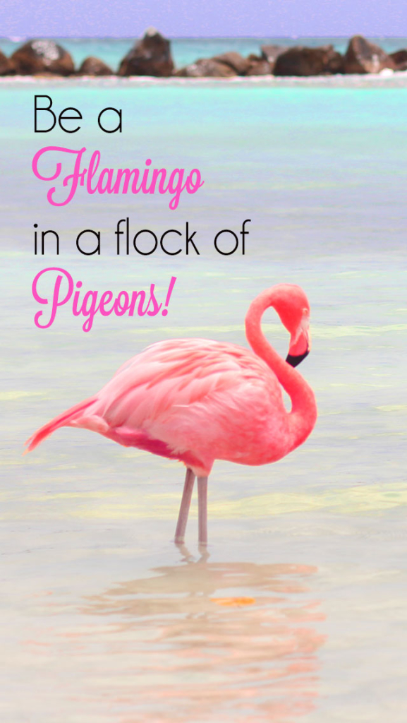 Be a Flamingo in a flock of Pigeons iPhone Wallpaper